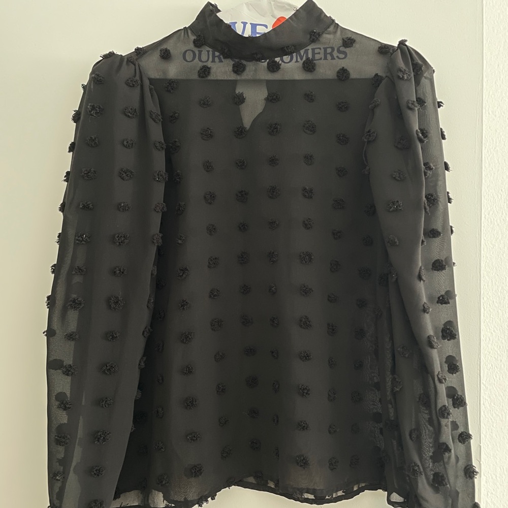 Black Sheer Long Sleeve Polka Dot Blouse